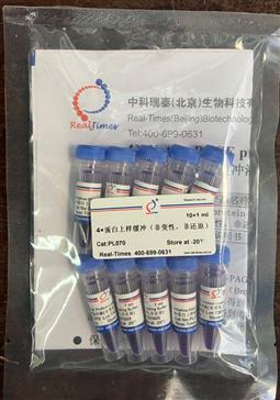 4×蛋白上樣緩沖（非變性，非還原）