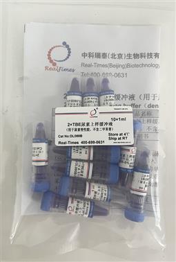 2×TBE尿素上樣緩沖液（用于尿素變性膠，不含二甲苯菁）