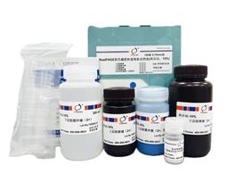 RealPAGE 彩色PAGE凝膠快速制備試劑盒（兩步法）10%