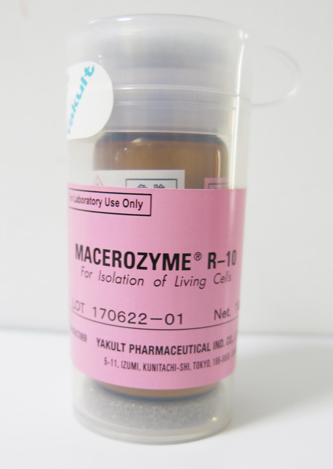 離析酶R-10 Yakult原裝