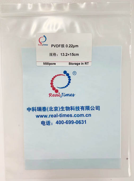 PVDF膜0.22um